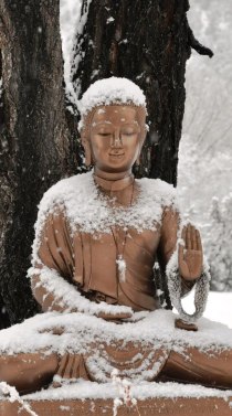 Buddha in the Snow